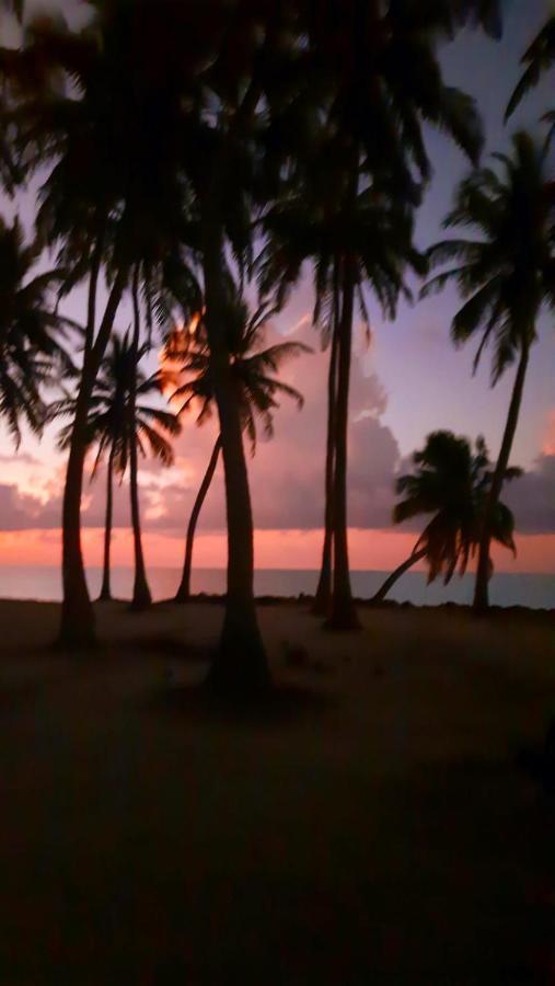 Mystic Maldives Mathiveri Retreat Eksteriør billede